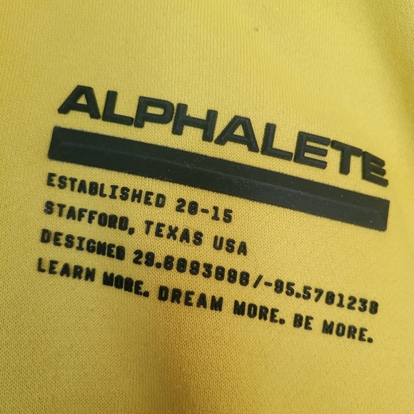 Alphalete Hoodie - Picture 5 of 9